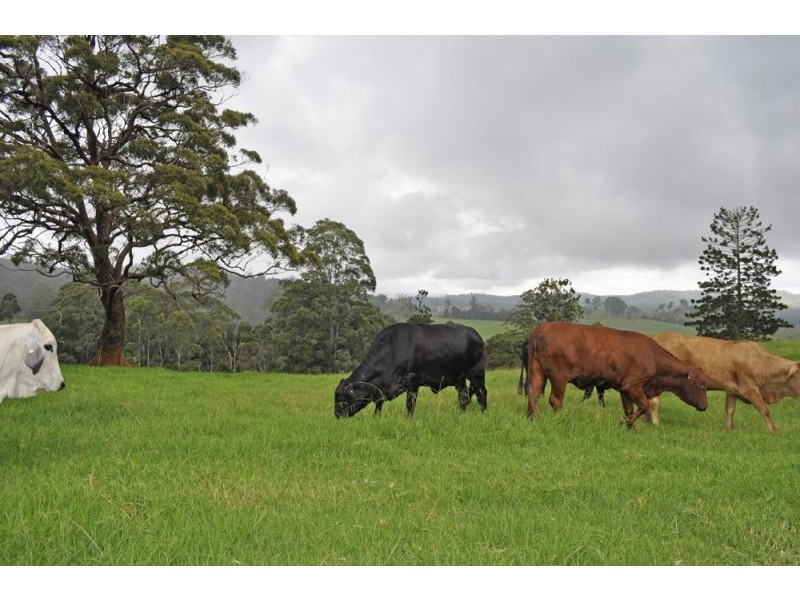 327 Moleton Road, Lowanna NSW 2450