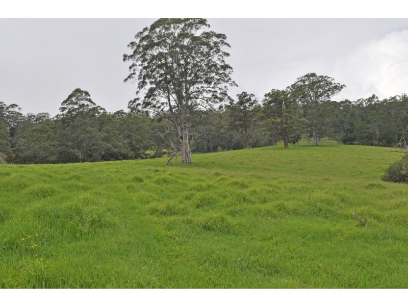 327 Moleton Road, Lowanna NSW 2450