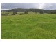 327 Moleton Road, Lowanna NSW 2450