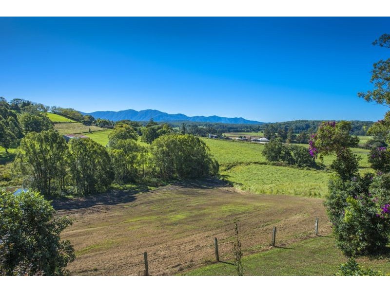 40 Old Brierfield Road, Bellingen NSW 2454