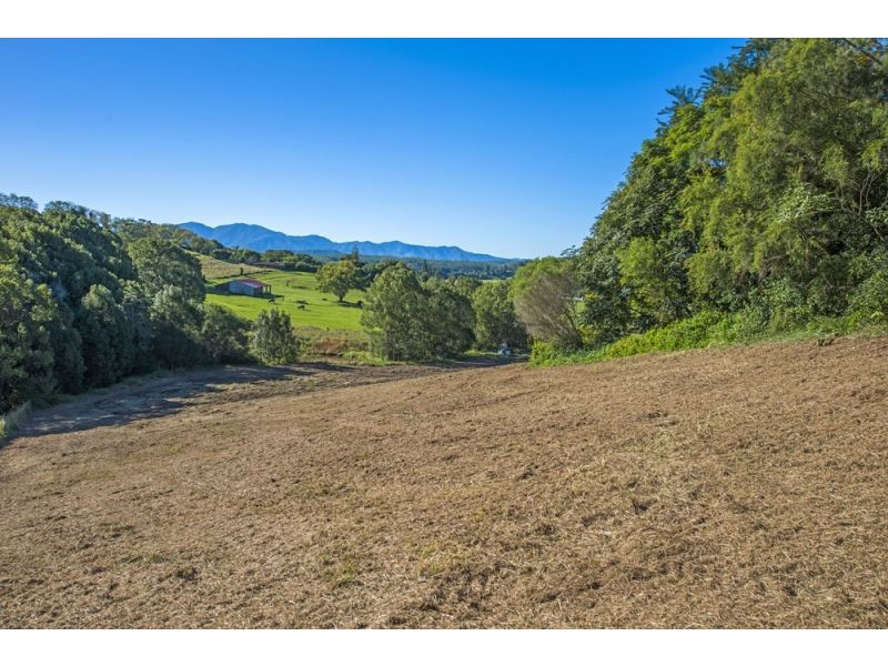 Part 40 Old Brierfield Road, Bellingen NSW 2454