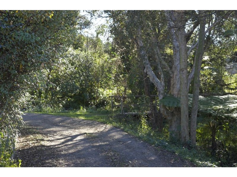2/31a Church Street, Bellingen NSW 2454