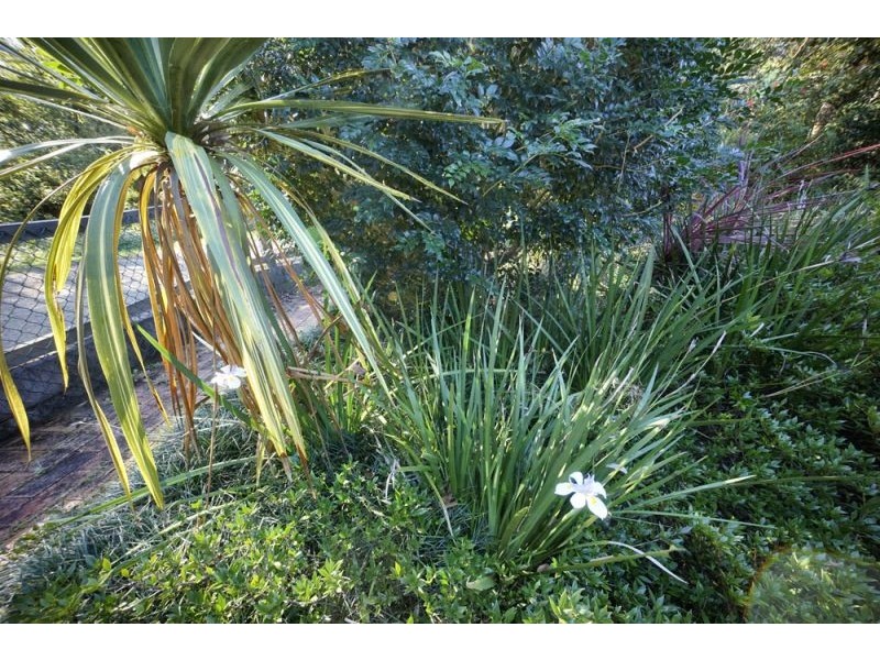 2/31a Church Street, Bellingen NSW 2454