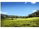 335 Kalang Road, Bellingen NSW 2454