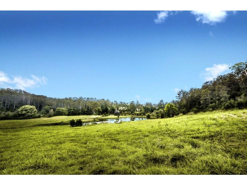 335 Kalang Road, Bellingen NSW 2454