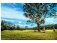335 Kalang Road, Bellingen NSW 2454