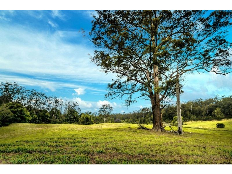 335 Kalang Road, Bellingen NSW 2454