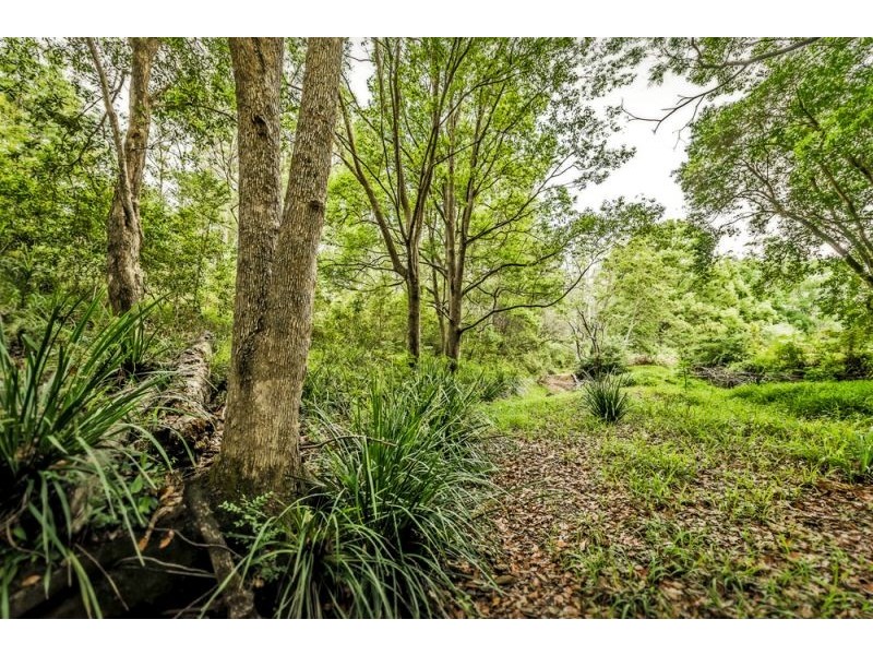 335 Kalang Road, Bellingen NSW 2454