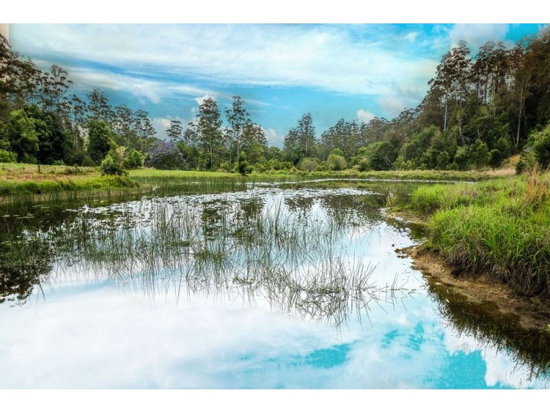 335 Kalang Road, Bellingen NSW 2454