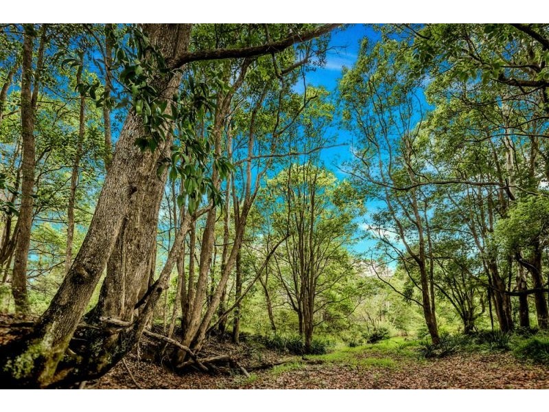 335 Kalang Road, Bellingen NSW 2454