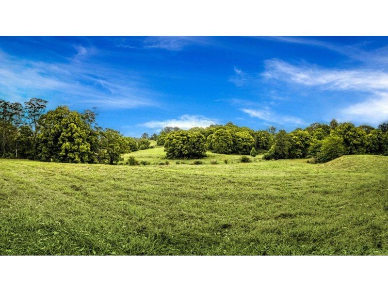 335 Kalang Road, Bellingen NSW 2454