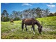 335 Kalang Road, Bellingen NSW 2454