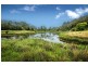 335 Kalang Road, Bellingen NSW 2454