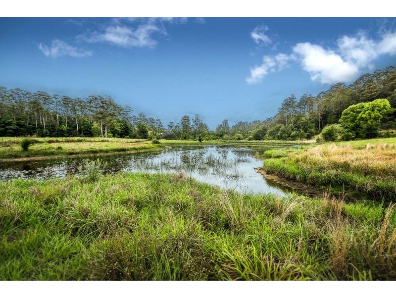 335 Kalang Road, Bellingen NSW 2454