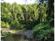 Bellingen NSW 2454