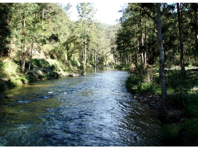 Bellingen NSW 2454