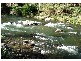 Bellingen NSW 2454