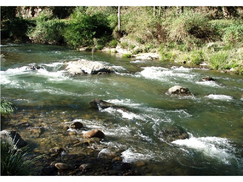 Bellingen NSW 2454
