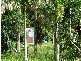 Bellingen NSW 2454