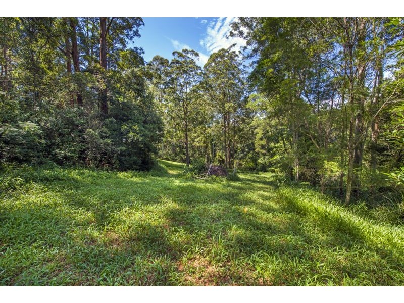 94 Scotchman Road, Bellingen NSW 2454