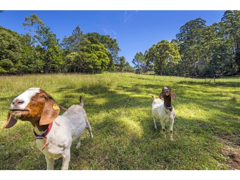 94 Scotchman Road, Bellingen NSW 2454