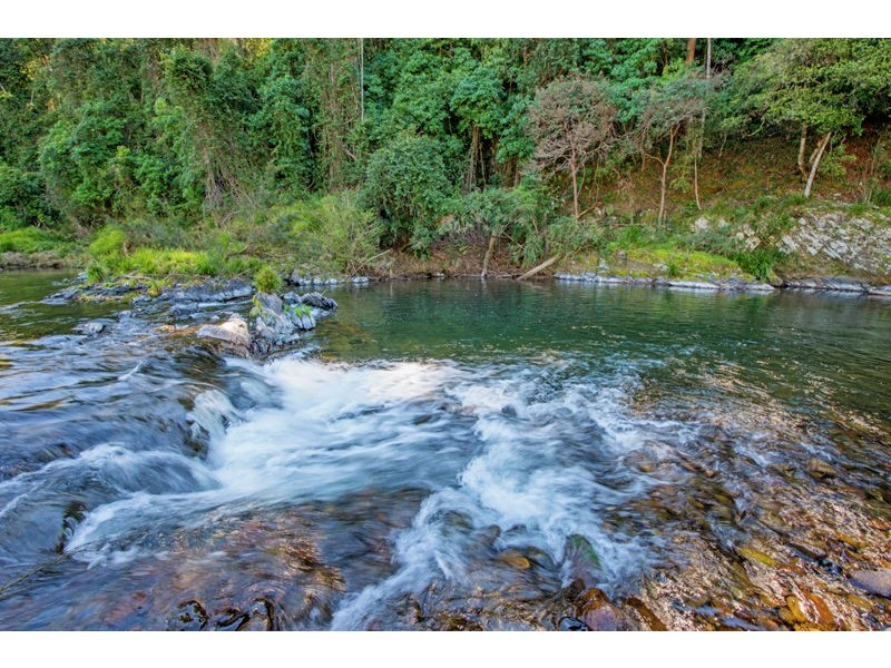 1498 Darkwood Road, Bellingen NSW 2454