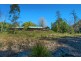 1498 Darkwood Road, Bellingen NSW 2454