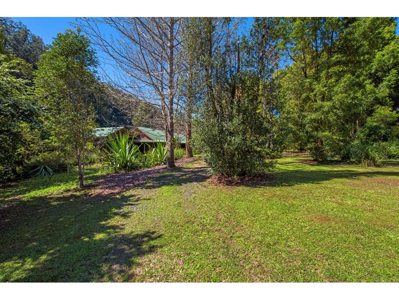 1498 Darkwood Road, Bellingen NSW 2454