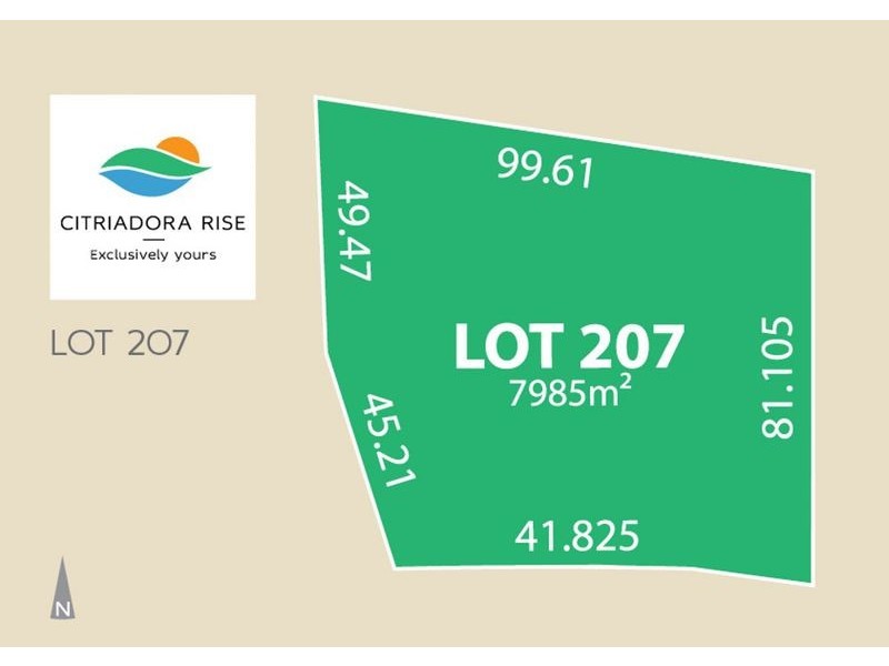 207 43 Citriadora Drive, Ewingsdale NSW 2481