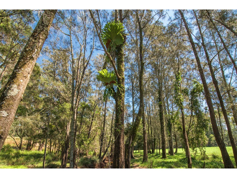 1051 Martells Road, Urunga NSW 2455