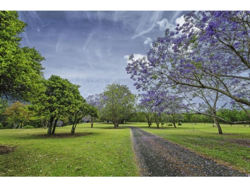 2086 Waterfall Way, Bellingen NSW 2454