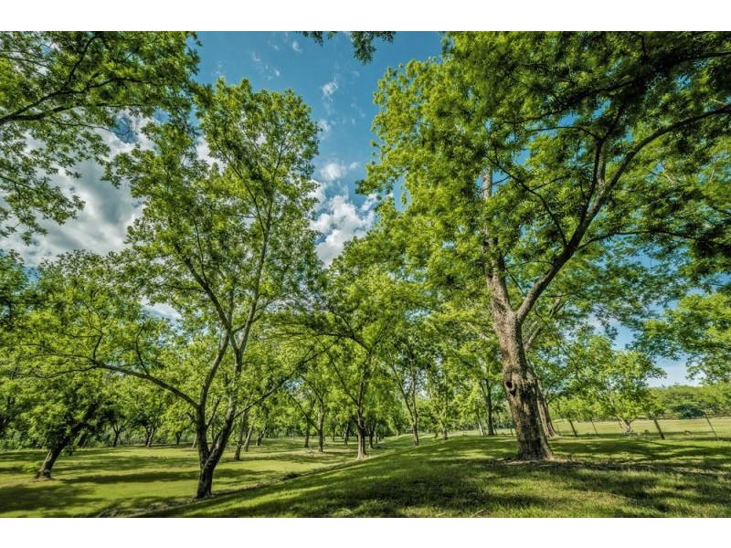 2086 Waterfall Way, Bellingen NSW 2454