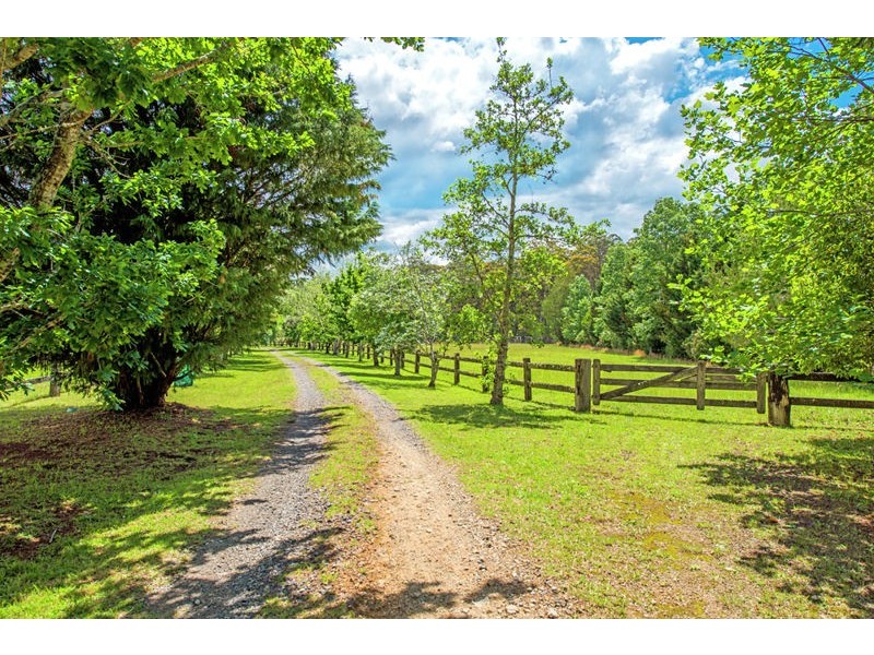 1442 Tyringham Road, Bostobrick, Dorrigo NSW 2453