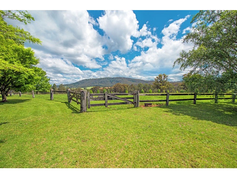1442 Tyringham Road, Bostobrick, Dorrigo NSW 2453