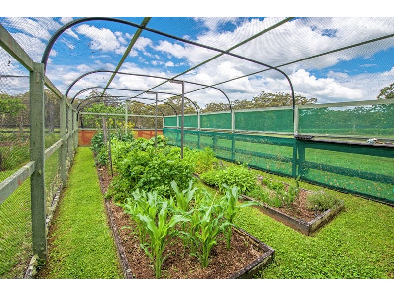 1442 Tyringham Road, Bostobrick, Dorrigo NSW 2453