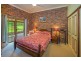1442 Tyringham Road, Bostobrick, Dorrigo NSW 2453