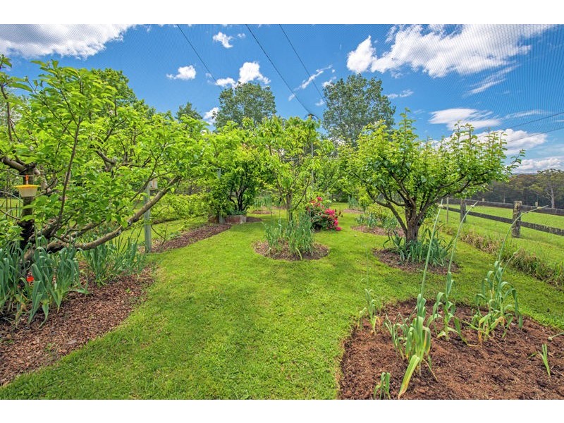 1442 Tyringham Road, Bostobrick, Dorrigo NSW 2453