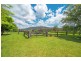1442 Tyringham Road, Bostobrick, Dorrigo NSW 2453