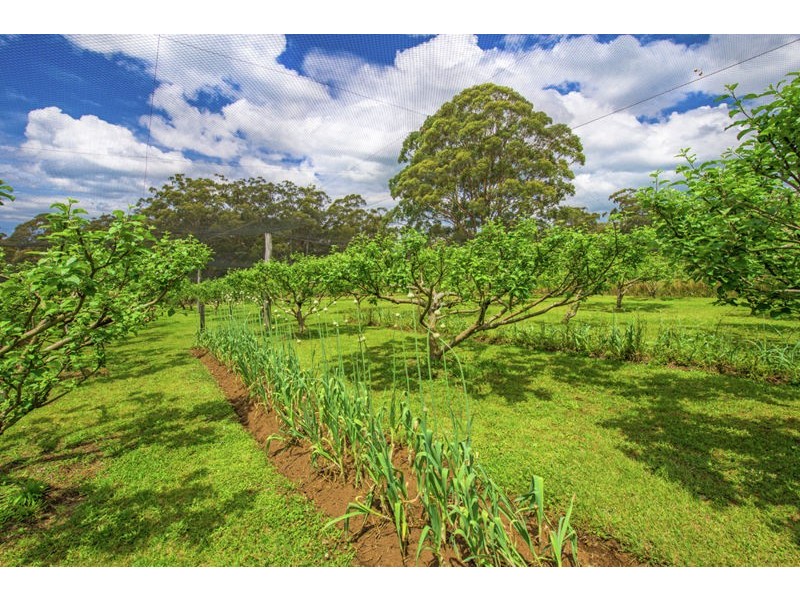 1442 Tyringham Road, Bostobrick, Dorrigo NSW 2453