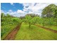 1442 Tyringham Road, Bostobrick, Dorrigo NSW 2453