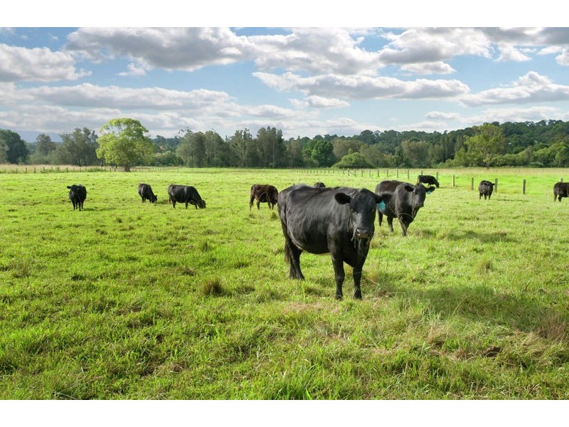 83 Old Ferry Road, Raleigh, Bellingen NSW 2454