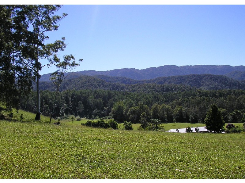 Bellingen NSW 2454