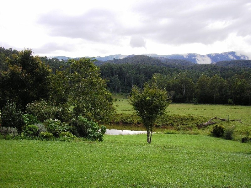 Bellingen NSW 2454