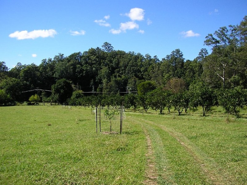 Bellingen NSW 2454