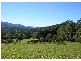 Bellingen NSW 2454