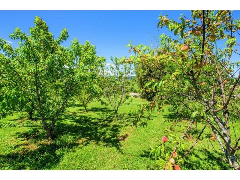 1 Summit Close, Dorrigo NSW 2453