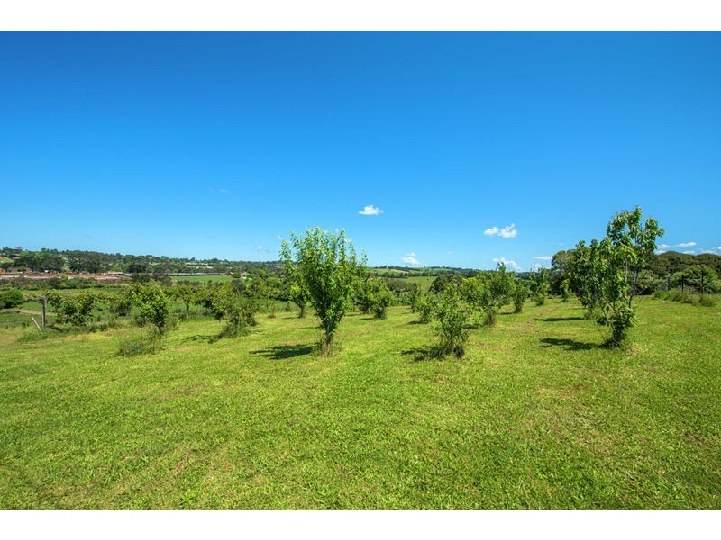 1 Summit Close, Dorrigo NSW 2453