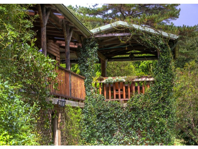 Bellingen NSW 2454