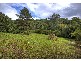 Bellingen NSW 2454