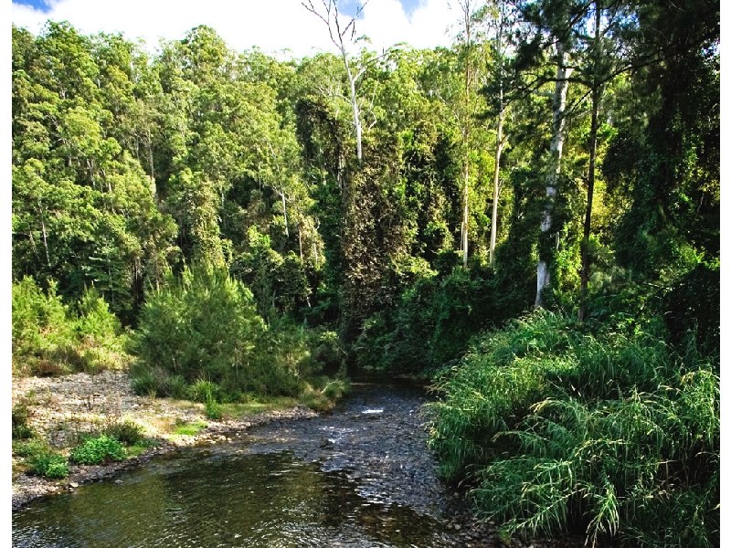 Bellingen NSW 2454
